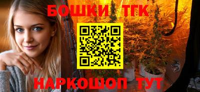 ешки Будённовск