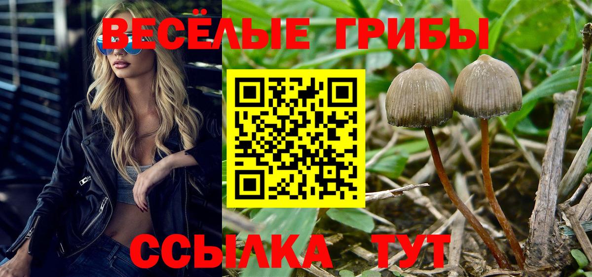 Псилоцибиновые грибы мицелий  Вход с VPN  Галлюциногенные грибы мухоморы  Курск 