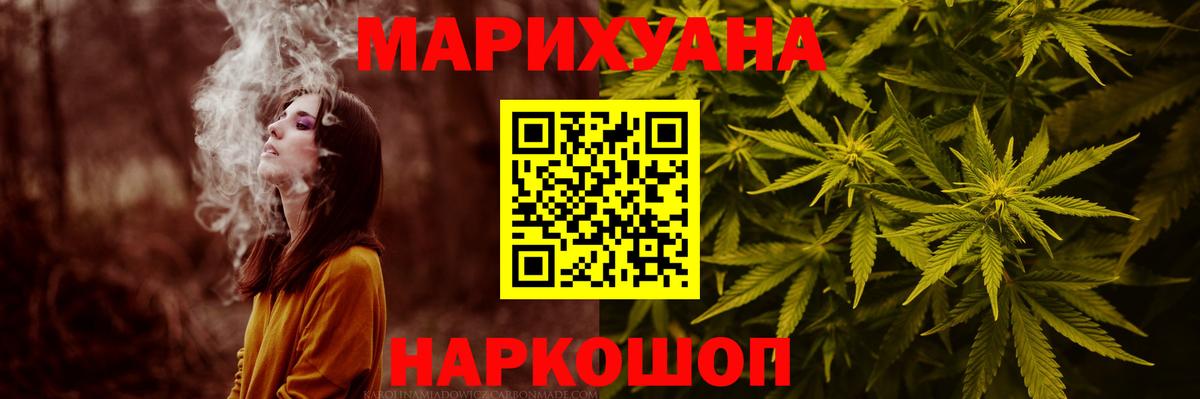 Канабис сатива Курск